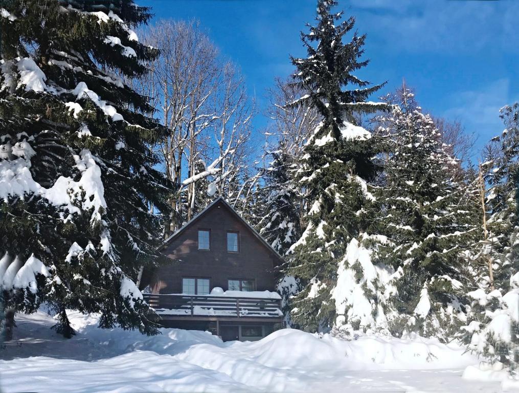 Chata Na Dříši room 1