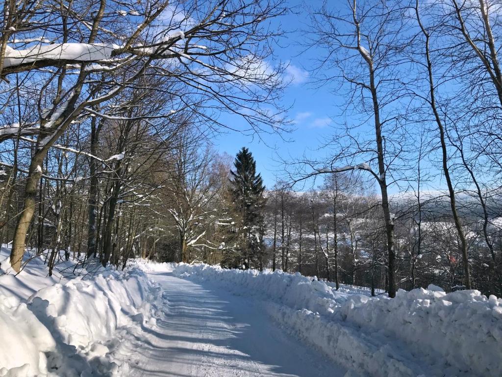 Chata Na Dříši room 6